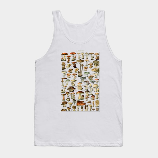 Antique Fungi Collection - Botanical Art Print Tank Top by TooplesArt